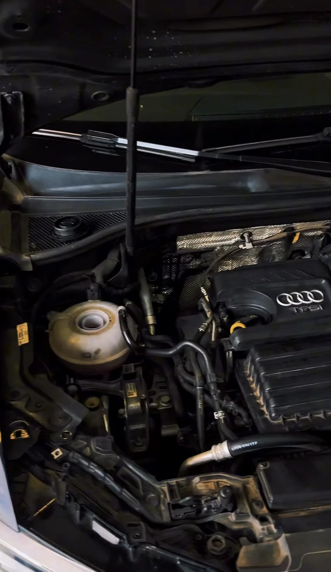 Vão do motor de um Audi aberto para troca de óleo na oficina da TORQX, com o reservatório de fluido em primeiro plano